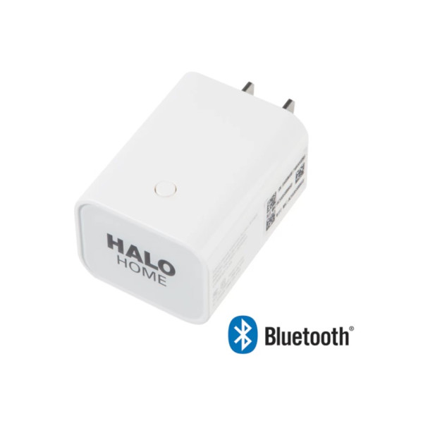 INTERENT ACCESS BRIDGE